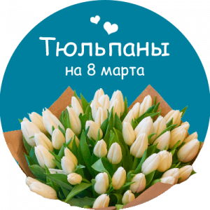 Купить тюльпаны в Колпашево